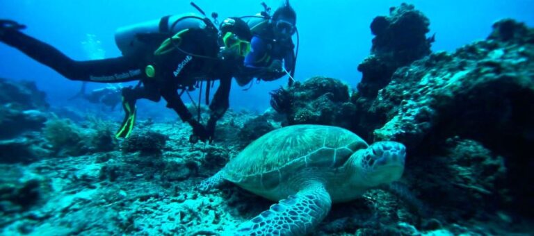 Follow The Action On Gili Trawangan | Indonesia Travel